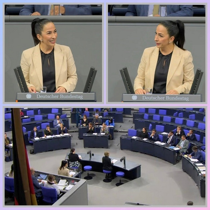 plenarrede_petetionsausschuss