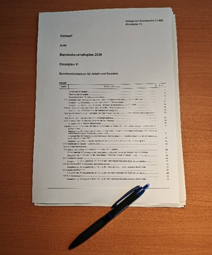 beratung_zum_haushalt